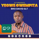 Bro David SLT