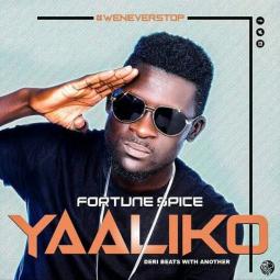 Fortune Spice - Yaaliko