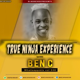 Deejay Achiever - WhatsappMix vol 246 True Ninja Experience