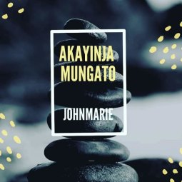 JohnMarie - Kayinja mungato (Stone in the shoe) Remix ft Dusty roor