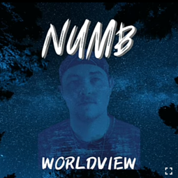 Worldview - Numb