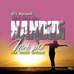 DJ MUSA ft HB Nick Joe - Nandidi