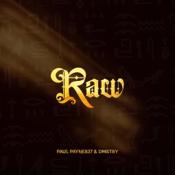 Paul Payne837 ft Dmstry - Raw
