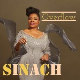 THERE'S AN OVERFLOW mp3 album art