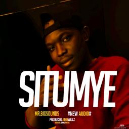 Situmye art work